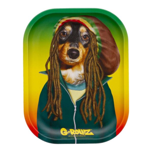 Bandeja G-Rollz Pets Small Reggae 14 x 18cm. PR3300V
